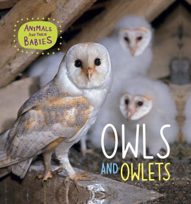 Owls and Owlets - Lynch, Annabelle