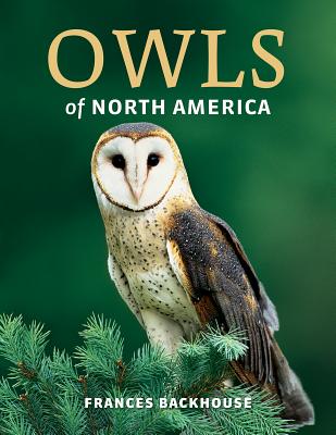 Owls of North America - Backhouse, Frances