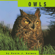 Owls - Holmes, Kevin J