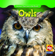 Owls