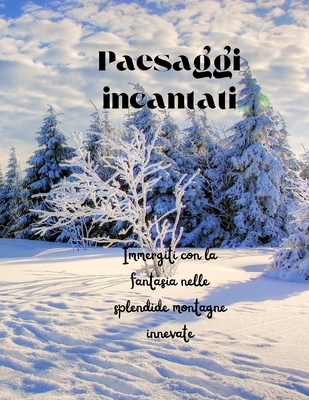 Paesaggi incantati.: Immergiti con la fantasia nelle splendide montagne innevate. - Andrea, Mezzo Davide