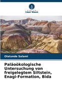 Pal?okologische Untersuchung von freigelegtem Siltstein, Enagi-Formation, Bida