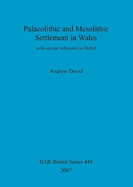 Palaeolithic and Mesolithic Settlement in Wales: with Special Reference to Dyfed