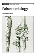 Palaeopathology