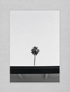 Palm: A visual study of Palm Springs, California