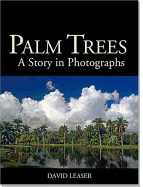 Palm Trees: A Story in Photographs