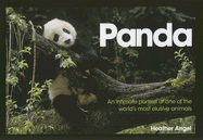 Panda: An Intimate Portrait of One of the World's Most Elusive Animals