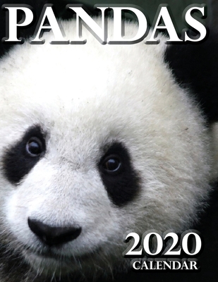 Pandas 2020 Calendar - Wall Craft Calendars