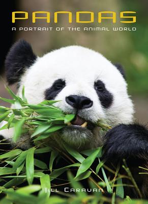 Pandas: A Portrait of the Animal World - Caravan, Jill