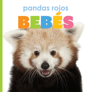 Pandas Rojos Bebs