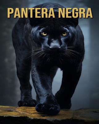 Pantera negra: Datos Divertidos e Interesantes e Imgenes Sobre Pantera negra - Orman, Victoria