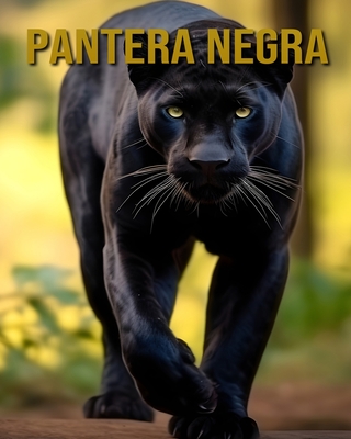 Pantera negra: Datos Interesantes e Imgenes Sobre Pantera negra - Carrillo, Isabella