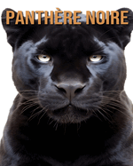 Panthre Noire: Dcouvrez des Informations et des Images tonnantes Concernant les Panthre Noire