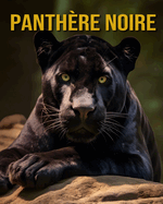 Panth?re Noire: Photos Exceptionnelles et Informations Amusantes et Fascinantes