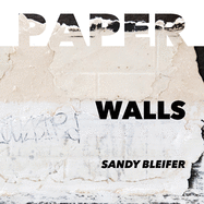 Paper: Walls: Vulnerability and Resilience of Urban Surfaces