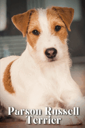 Parson Russell Terrier: Dog breed overview and guide