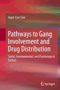 Pathways to Gang Involvement and Drug Distribution: Social, Environmental, and Psychological Factors