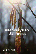 Pathways to Stillness: Removing the Layers of Illusion