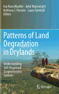 Patterns of Land Degradation in Drylands: Understanding Self-Organised Ecogeomorphic Systems