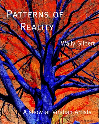 Patterns of Reality - Gilbert, Wally