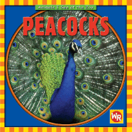 Peacocks - Pohl, Kathleen