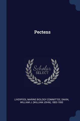 Pectens - Liverpool Marine Biology Committee (Creator), and Dakin, William J 1883-1950