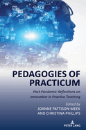 Pedagogies of Practicum: Post-Pandemic Reflections on Innovation in Practice Teaching