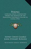 Peking: A Social Survey Conducted Under The Auspices Of The Princeton University Center In China (1921)