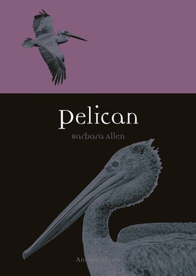 Pelican - Allen, Barbara