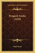 Pengard Awake (1920)