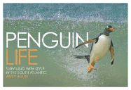 Penguin Life: Surviving with Style in the South Atlantic