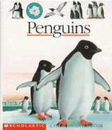 Penguins: A First Discovery Book - Mettler, Rene