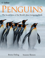 Penguins: The Secret Lives of the World's Most Intriguing Birds