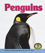 Penguins - Stone, Lynn M