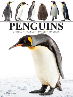 Penguins - Jackson, Tom