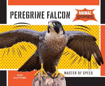 Peregrine Falcon: Master of Speed - Plattner, Josh