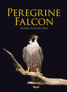 Peregrine Falcon