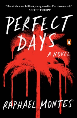 Perfect Days - Montes, Raphael