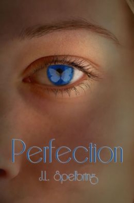 Perfection: Volume 1 - Spelbring, J L