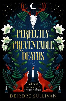 Perfectly Preventable Deaths - Sullivan, Deirdre