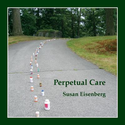 Perpetual Care - Eisenberg, Susan