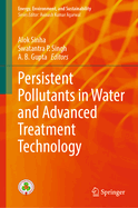 Persistent Pollutants in Water and Advanced Treatment Technology
