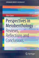 Perspectives in Meiobenthology: Reviews, Reflections and Conclusions