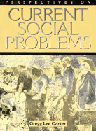 Perspectives on Current Social Problems