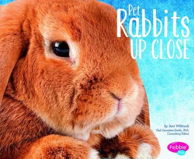 Pet Rabbits Up Close - Saunders-Smith, Gail (Consultant editor), and Wittrock, Jeni