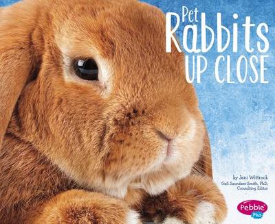 Pet Rabbits Up Close - Saunders-Smith, Gail (Consultant editor), and Wittrock, Jeni