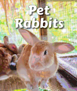 Pet Rabbits