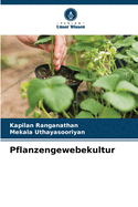 Pflanzengewebekultur