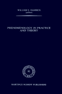 Phenomenology in Practice and Theory: Essays for Herbert Spiegelberg