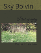 Photography of Sky Boivin: Pierpont meadows